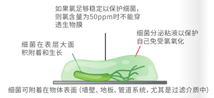 濾料,泳池水處理,低氯,泳池運(yùn)營(yíng)