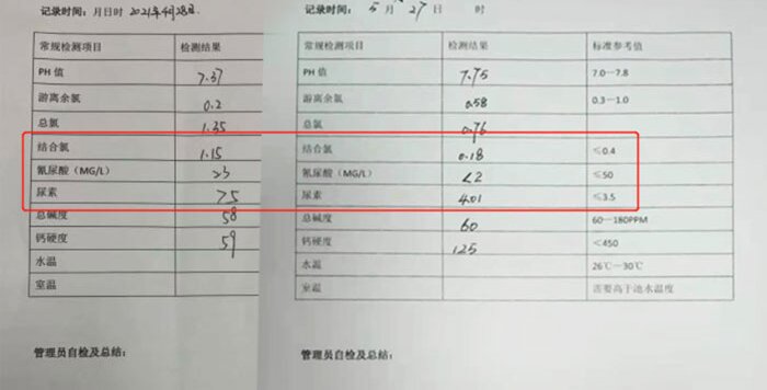 泳池服務,泳池藥劑,泳池打理,泳池水處理升級